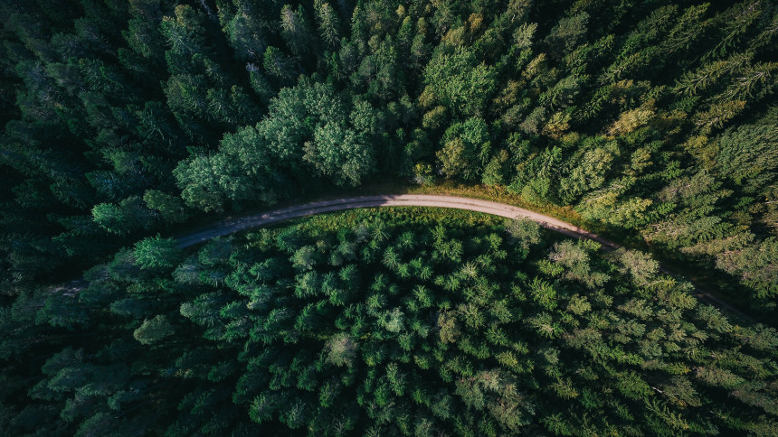 Eine Landstraße, die durch einen dichten Wald führt zu sehen aus der Vogelperspektive